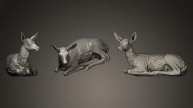 3D model Animal 3D of Doe (STL)